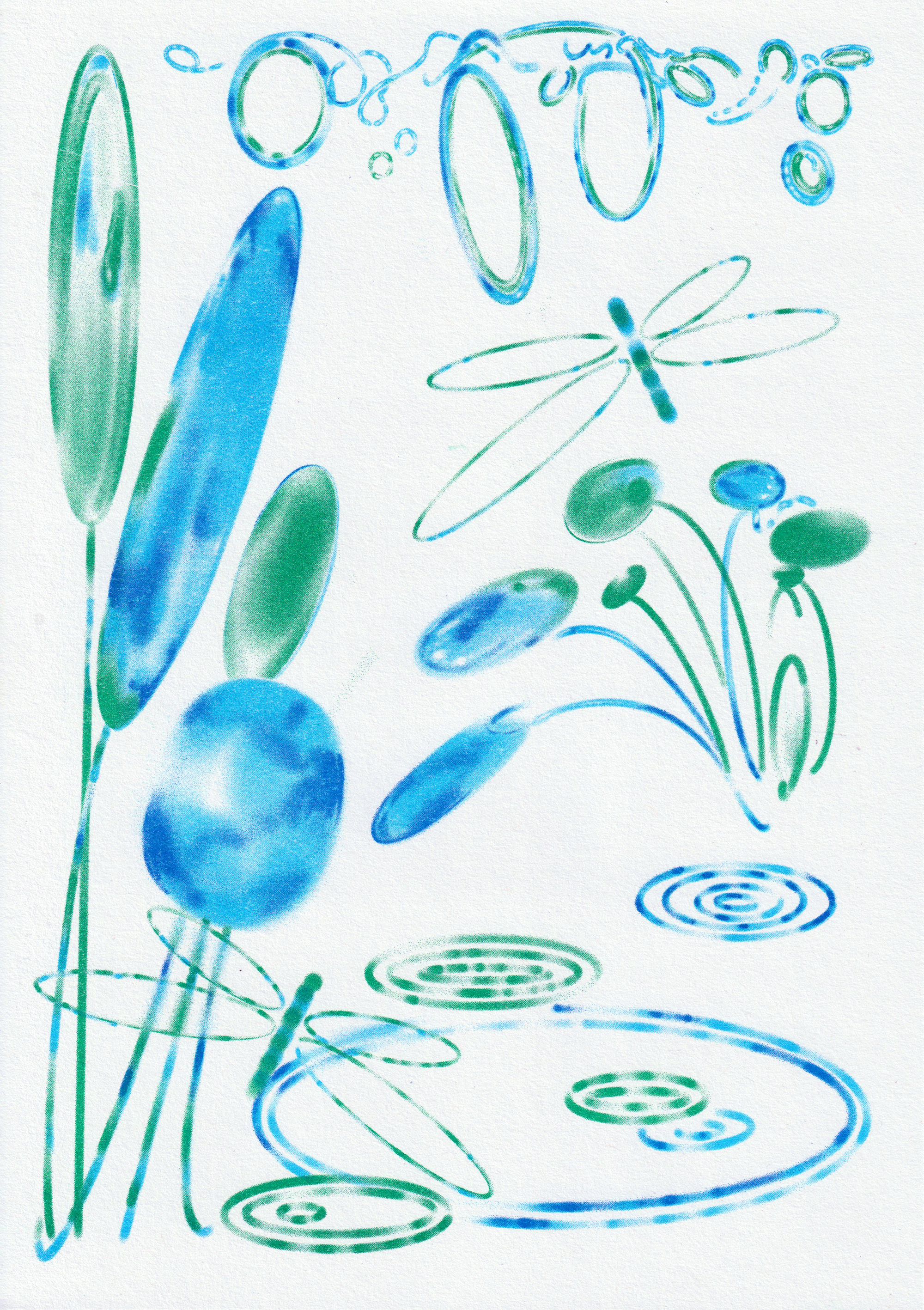 The Pond