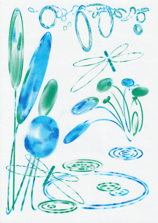 The Pond