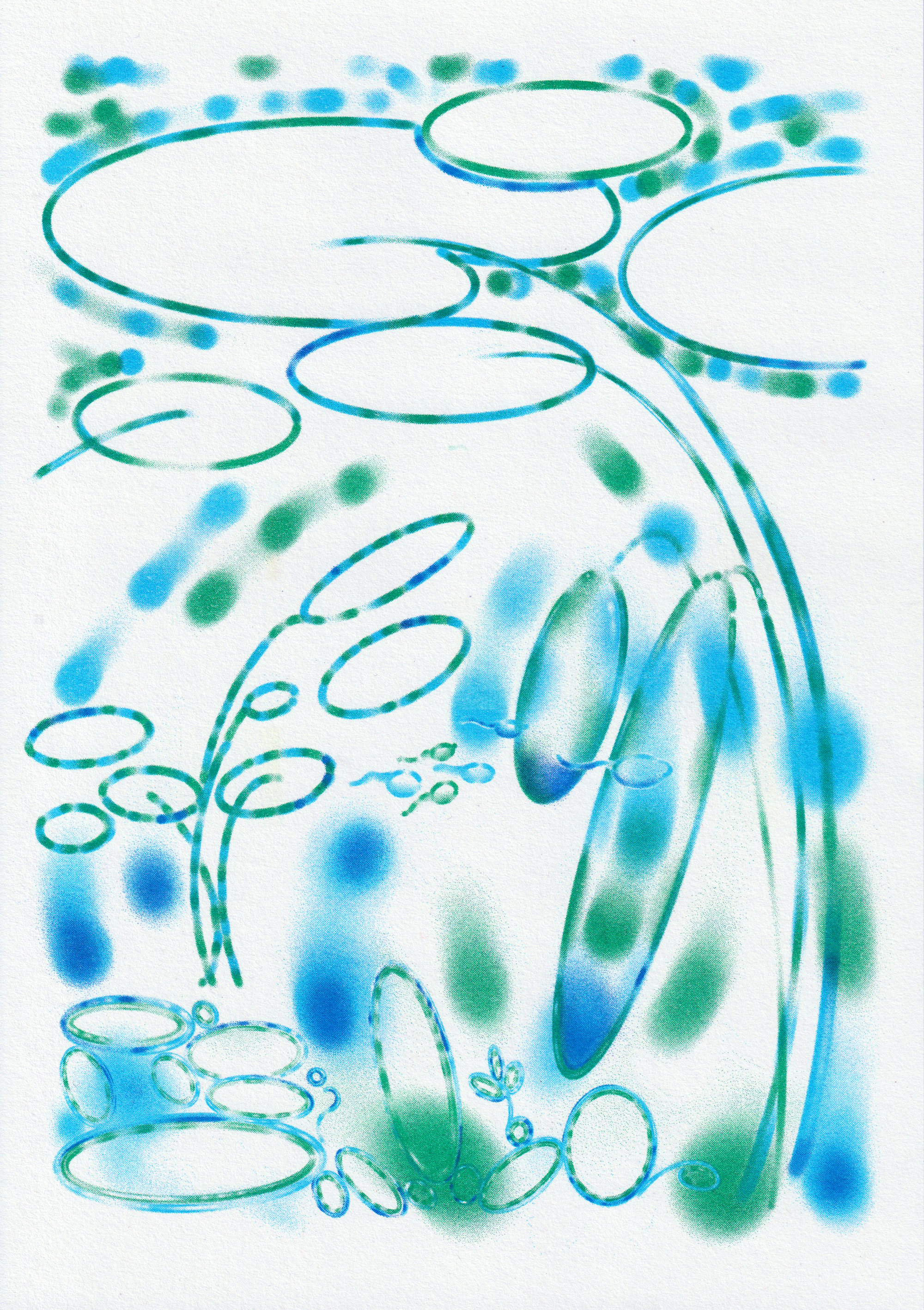 The Pond
